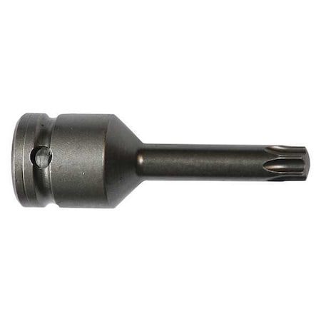 Socket Bit 1/2 in. Dr T50 Torx(R) by USA Apex Screwdriver Bits