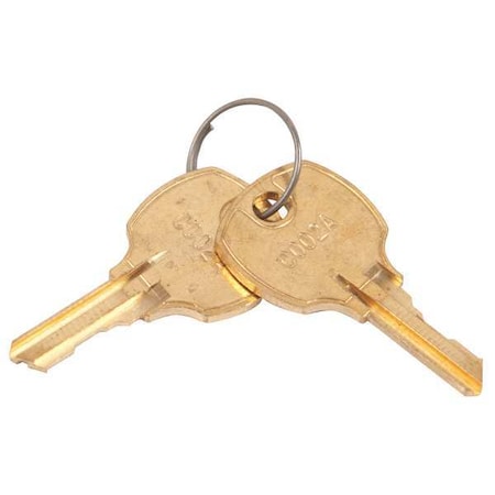 Key (2 Ea On Ring) by Hoshizaki in US