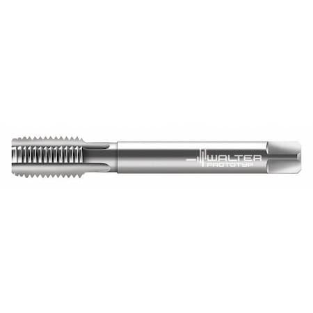 Tap 1/4" 19 Thread Size Solid Carbide by USA Walter Taps Punches & Dies