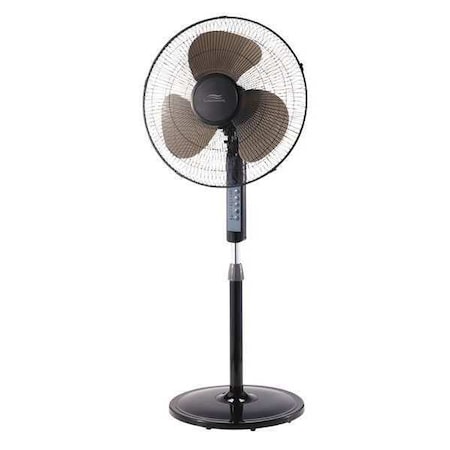 Fan 16" Pedestal Black by Lakewood in US