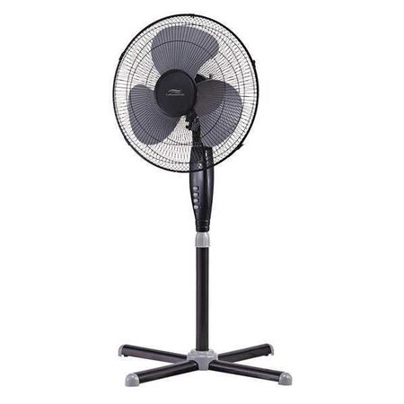 Fan 16" Stand Black by Lakewood in US