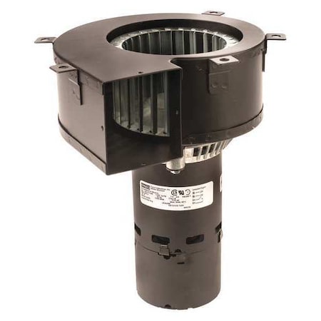 OEM Blower 7-3/4 in.Overall H 208/230VAC by Fasco in US