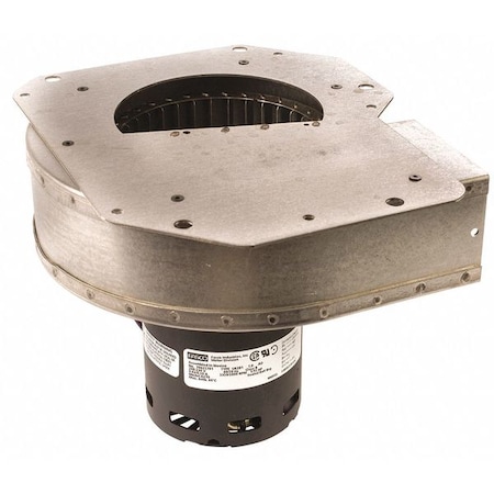 OEM Blower 6 in. Overall D. 115VAC by Fasco in US