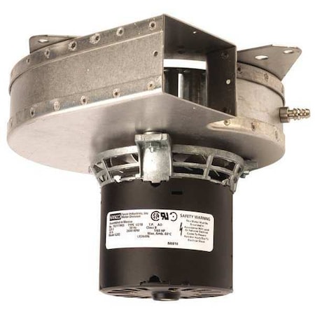 OEM Blower 10 in. Lead L. 115VAC 60 Hz by Fasco in US