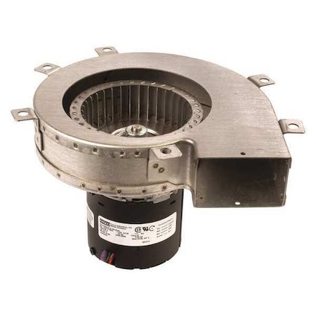 OEM Blower 10-5/8 in. Overall H. 60 Hz by Fasco in US