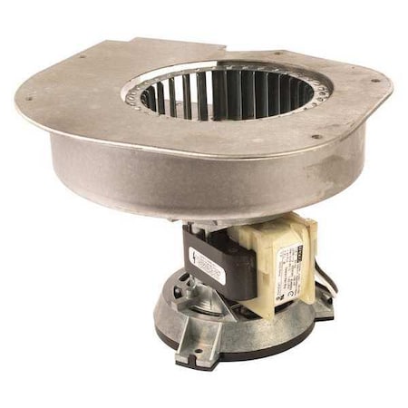 OEM Blower 9-7/8 in. Overall H. 115VAC by Fasco in US