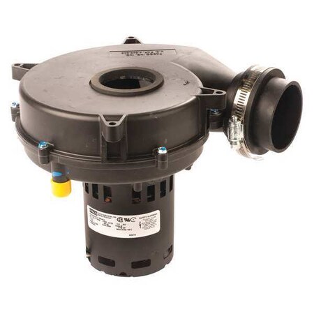 OEM Blower 2 Speeds 115VAC 60 Hz by Fasco in US
