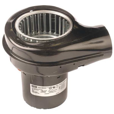 OEM Blower BALL Bearing 230VAC 50/60 Hz by Fasco in US