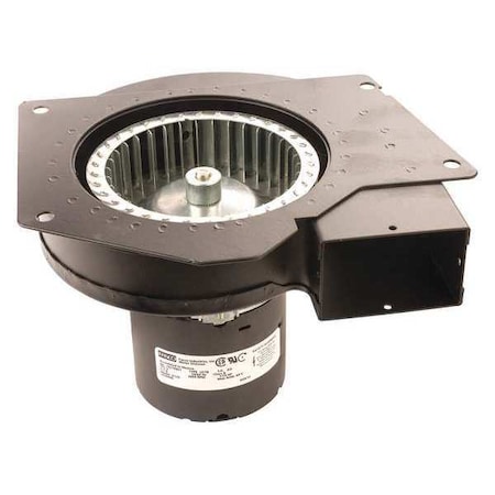 OEM Blower 6-3/8 in. Overall W. 120VAC by Fasco in US