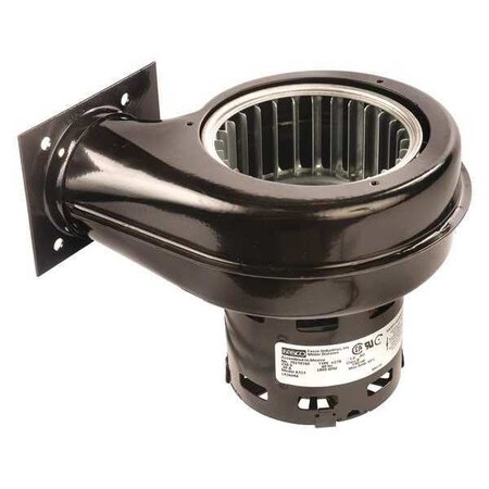 OEM Blower 9-1/8 in. Overall H. 60 Hz by Fasco in US