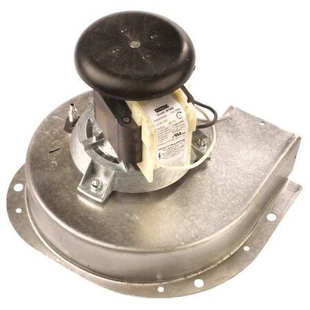 OEM Blower 7 in. Overall H. 120VAC 60 Hz by Fasco in US