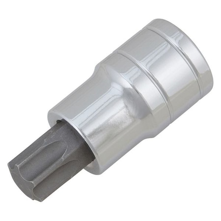 Star Bit Socket 1/2" D T 60 by USA Wilmar Sockets