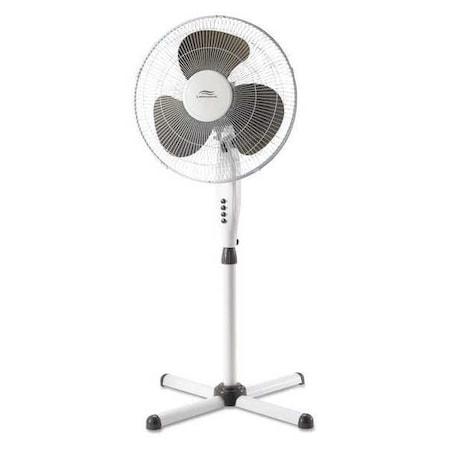 Fan 16" Pedestal White by Lakewood in US