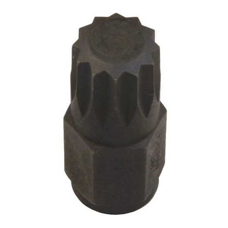 Socket 14mm 12 pt. by USA Assenmacher Sockets