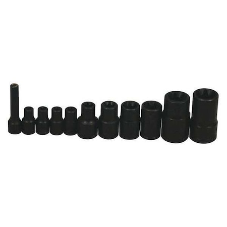 External Torx Socket E6 1/4" D Black by USA Lisle Sockets
